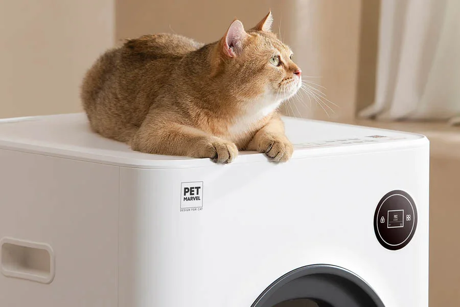 odorless cat box